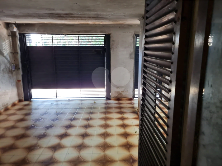 Foto REO1109790