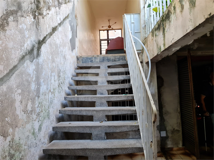 Foto REO1109790
