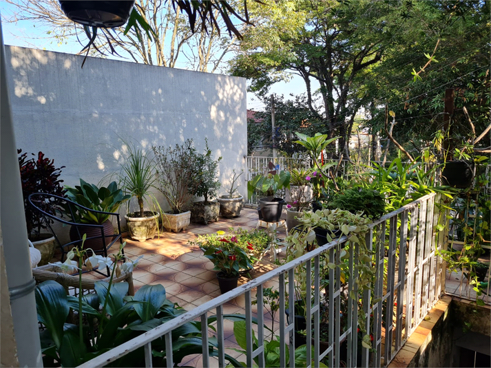 Foto REO1109790