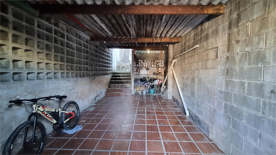 Foto REO1109791