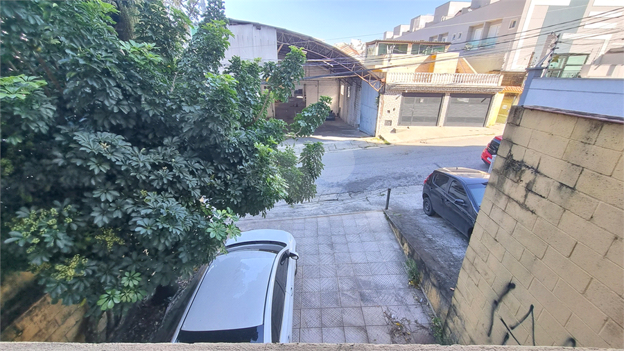 Foto REO1109791