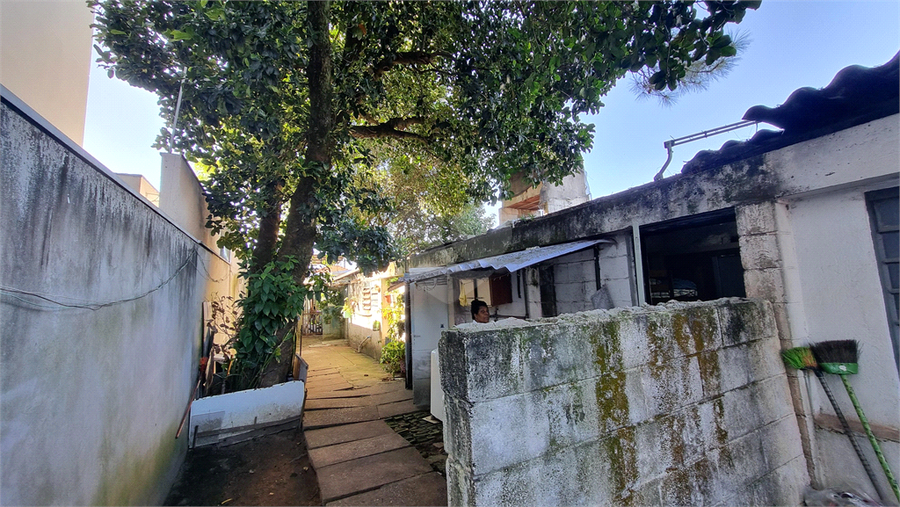 Foto REO1109791