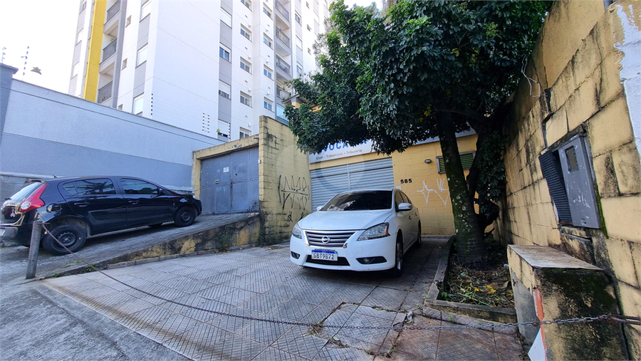 Foto REO1109791