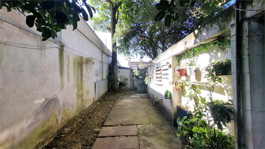 Foto REO1109791