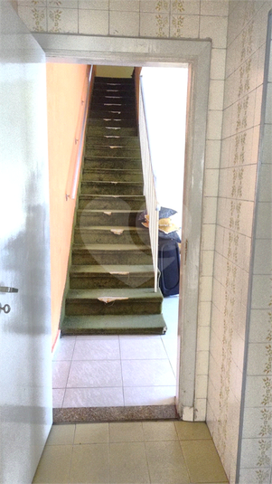 Foto REO1109806