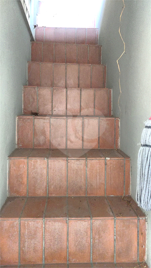 Foto REO1109806