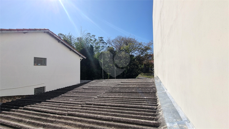 Foto REO1109809