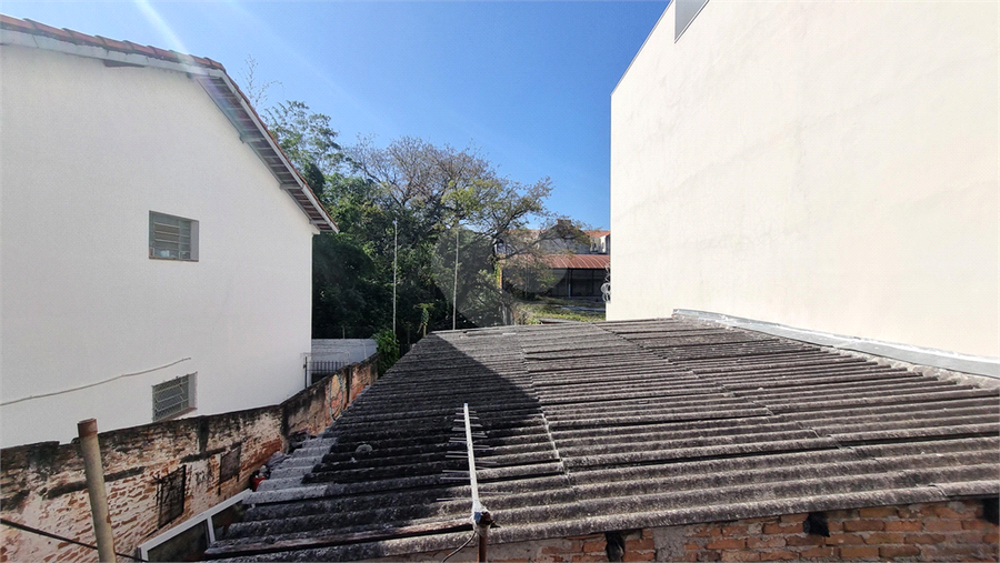 Foto REO1109809