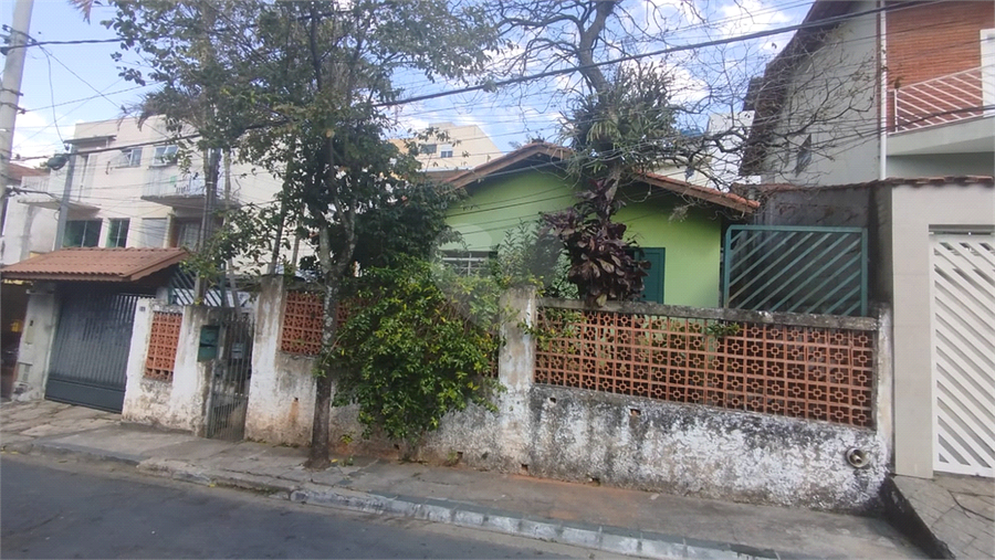 Foto REO1109821