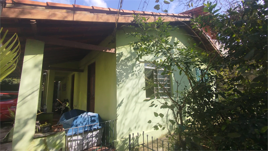 Foto REO1109821