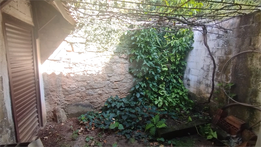 Foto REO1109821