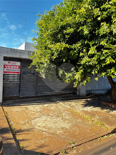 Foto REO1109834