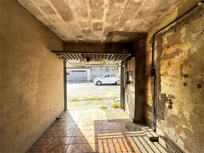 Foto REO1109842