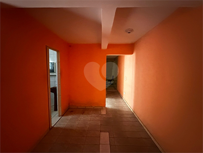 Foto REO1109842