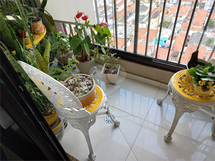 Foto REO1109851