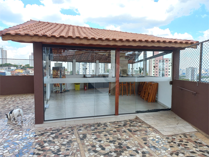 Foto REO1109851
