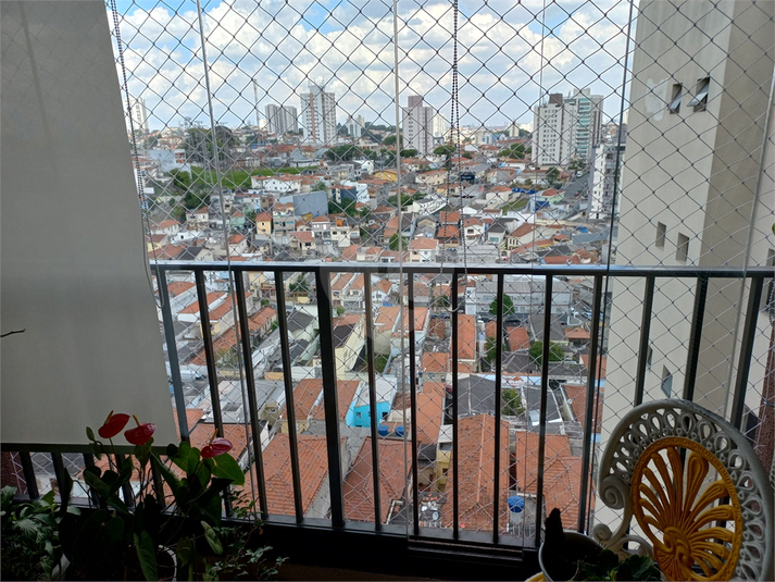 Foto REO1109851