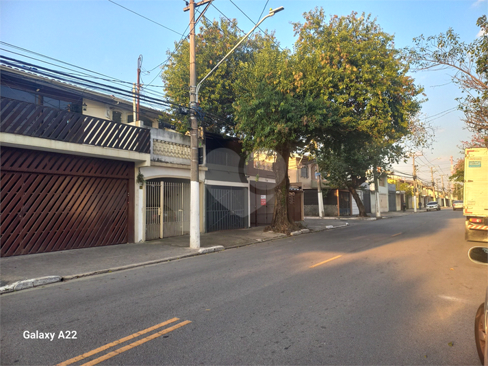 Foto REO1109853