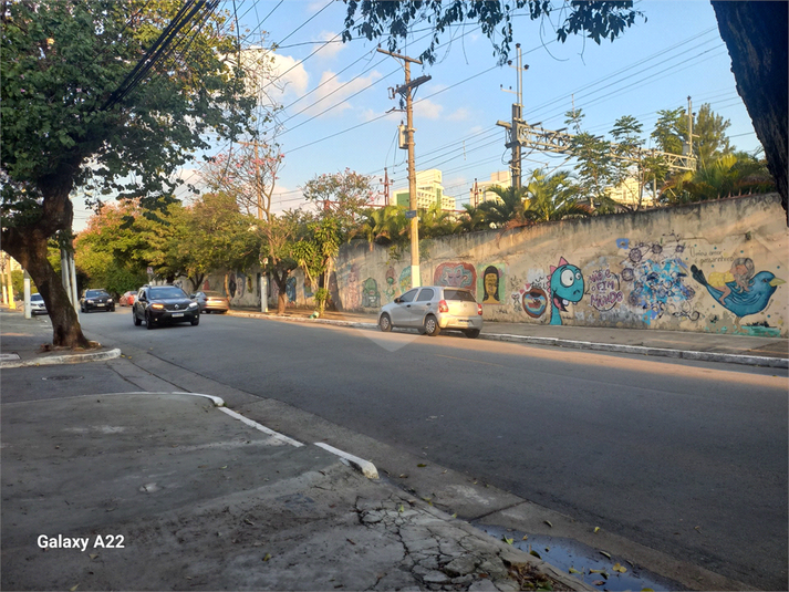 Foto REO1109853