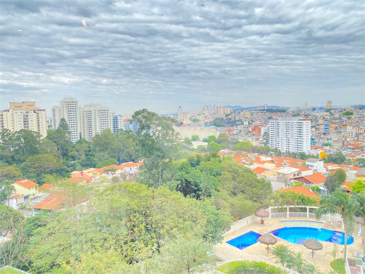 Foto REO1109854