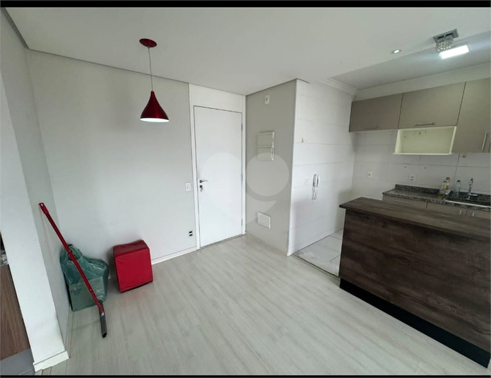 Foto REO1109862