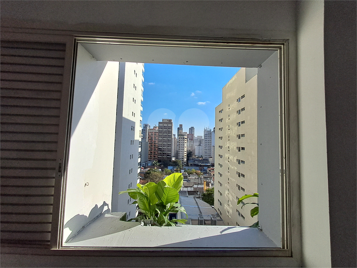 Foto REO1109876