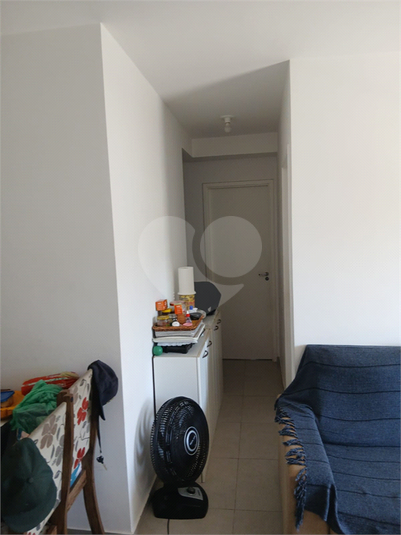 Foto REO1109883