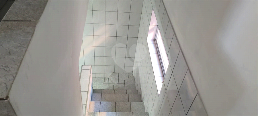 Foto REO1109885