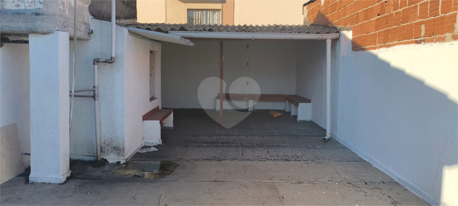 Foto REO1109885