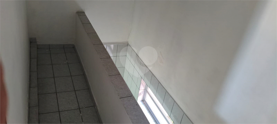 Foto REO1109885