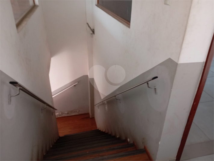 Foto REO1109888