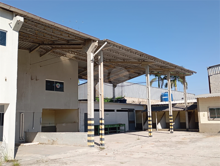 Foto REO1109888