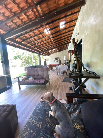 Foto REO1109891