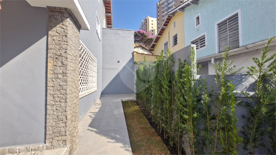 Foto REO1109895