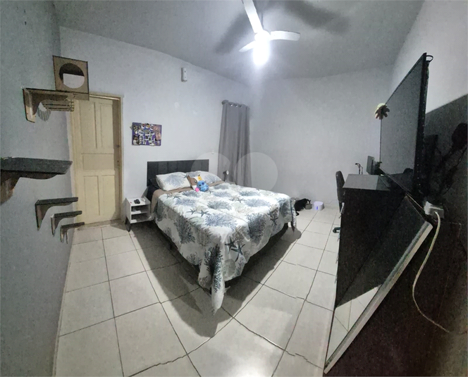 Foto REO1109899