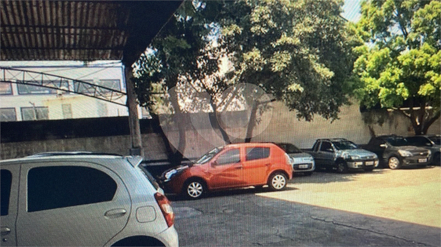Foto REO1109903