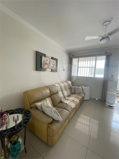 Foto REO1109911