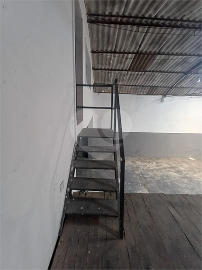Foto REO1109912