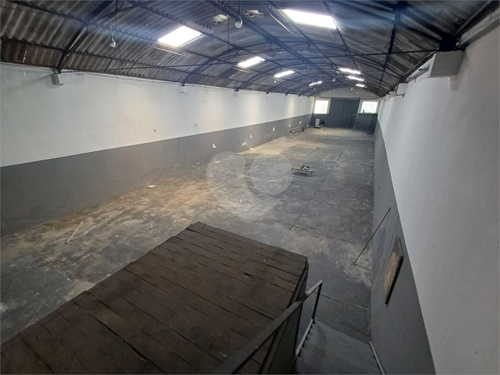Foto REO1109912