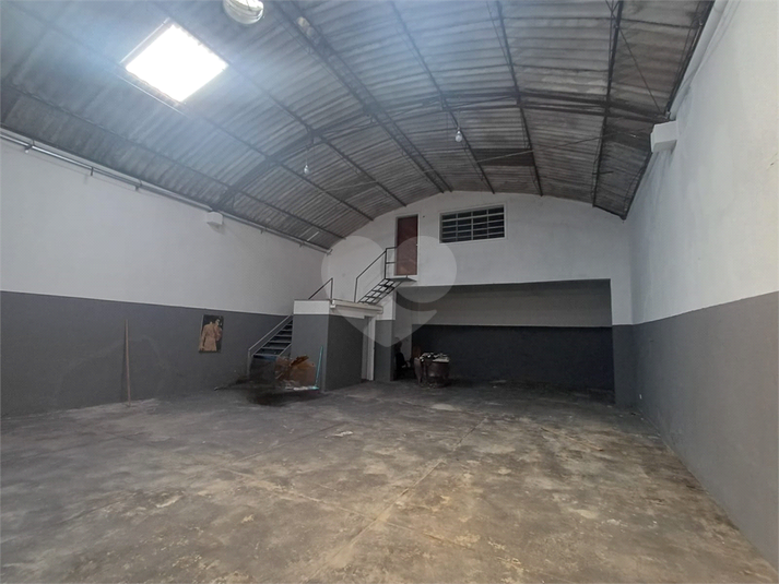 Foto REO1109912