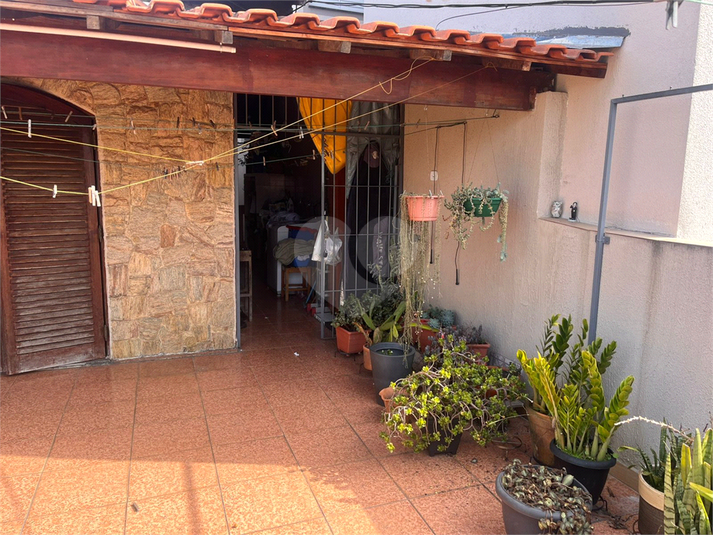 Foto REO1109914