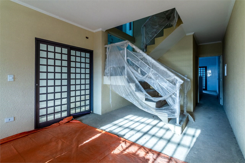 Foto REO1109926