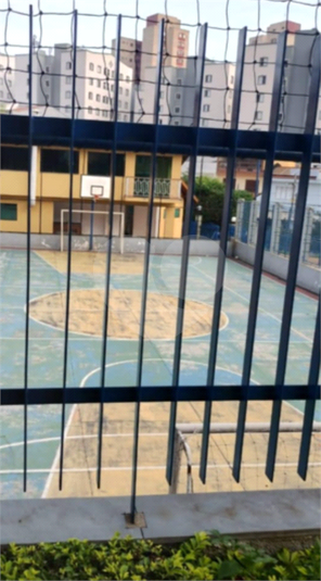 Foto REO1109927