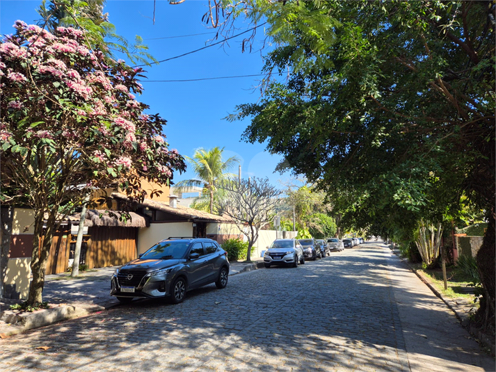 Foto REO1109934