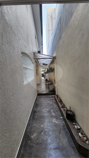 Foto REO1109936