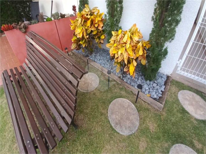 Foto REO1109958