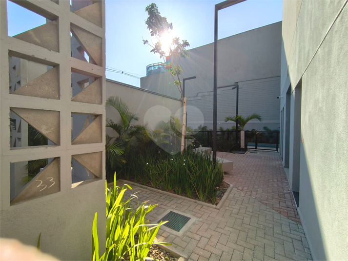 Foto REO1109961
