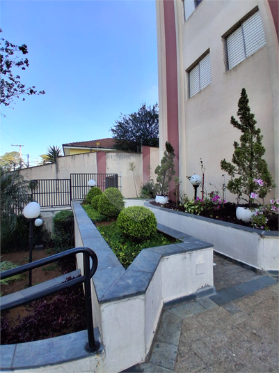 Foto REO1109972
