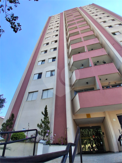 Foto REO1109972