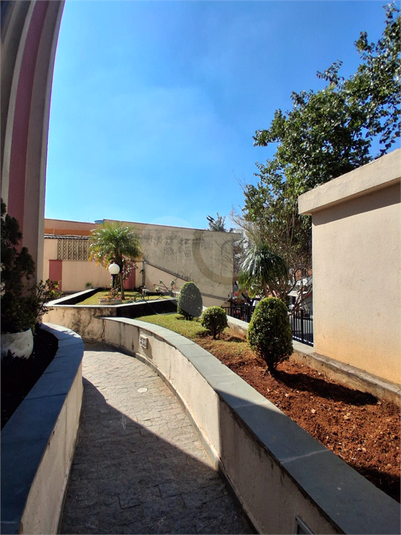 Foto REO1109972